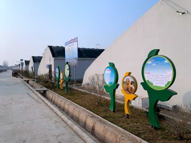 每日一景 山水溝村的美麗蝶變——產業助力發展，農業技術推廣共建美麗鄉村