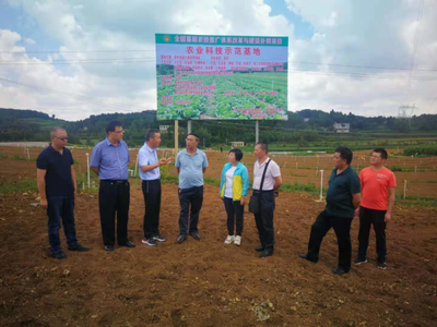省農業科技發展中心主任潘爾珣深入畢節調研，指導基層農技推廣補助項目建設工作