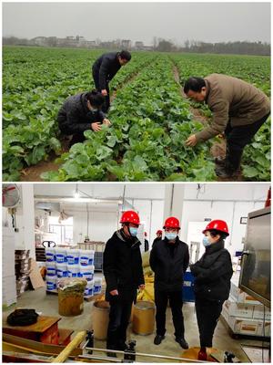 科技助農穩生產，服務下鄉促春耕——市農技推廣中心積極開展春耕備耕指導工作