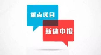 深圳知識產權代理服務 創新之都的智慧守護者